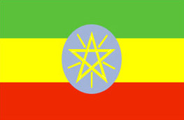 埃塞俄比亚大使馆