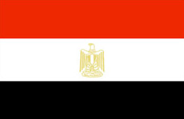 埃及双认证
