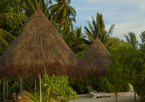 蓝色美人蕉岛沙滩别墅Beach Bungalow图片