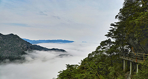 经典江西：诗画庐山/篁岭梯田花海/婺女洲/瓷都