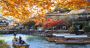 和风日本·双古都双温泉 5 晚 6 天