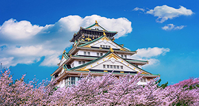 【质享*纯品日本】东京+北海道8天