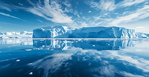 【海洋信天翁号】福克兰群岛+南乔