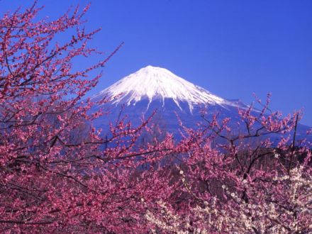 富士山