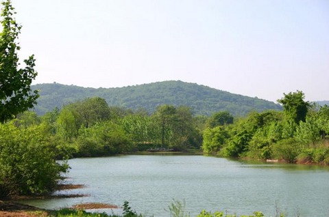 茂林风景区