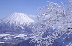 北海道旅游,浪漫春节游图片