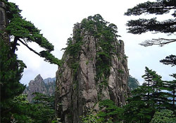 始信峰