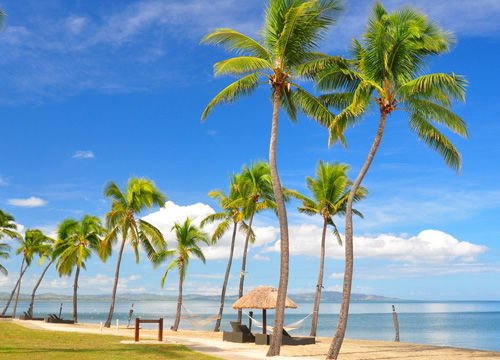 浪漫海岸 斐济旅游全攻略