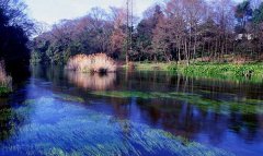 九美全景-成都-九寨沟-黄龙-叠溪海子-峨眉山双飞8日游