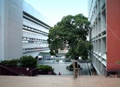 香港大学