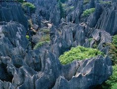 石花洞国家地质公园图片