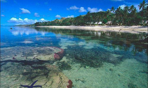 斐济首都苏瓦 南太平洋文化十字路口图片