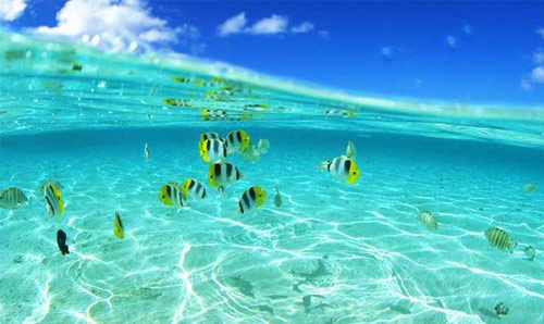海南三亚亚龙湾图片图片