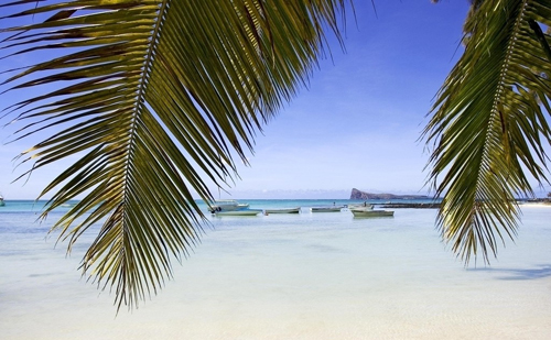 度假天堂——毛里求斯图片