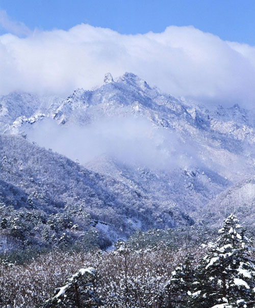 醉美韩国雪岳山图片