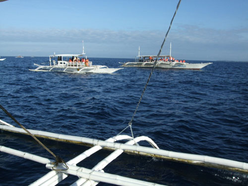 乘螃蟹船 与海豚赛跑图片