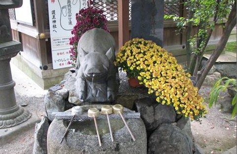 京都护王神社 另类日本猪寺庙图片