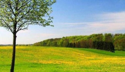 丹麦免税店购物攻略_北京中国国旅