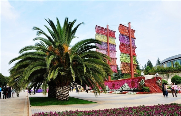 昆明旅游必去的景点推荐_北京中国国旅