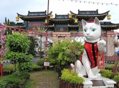 来马来西亚欣赏猫博物馆巡礼图片