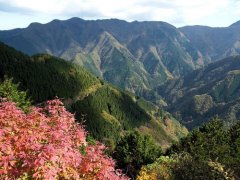 马来西亚美里石油城的风景图片