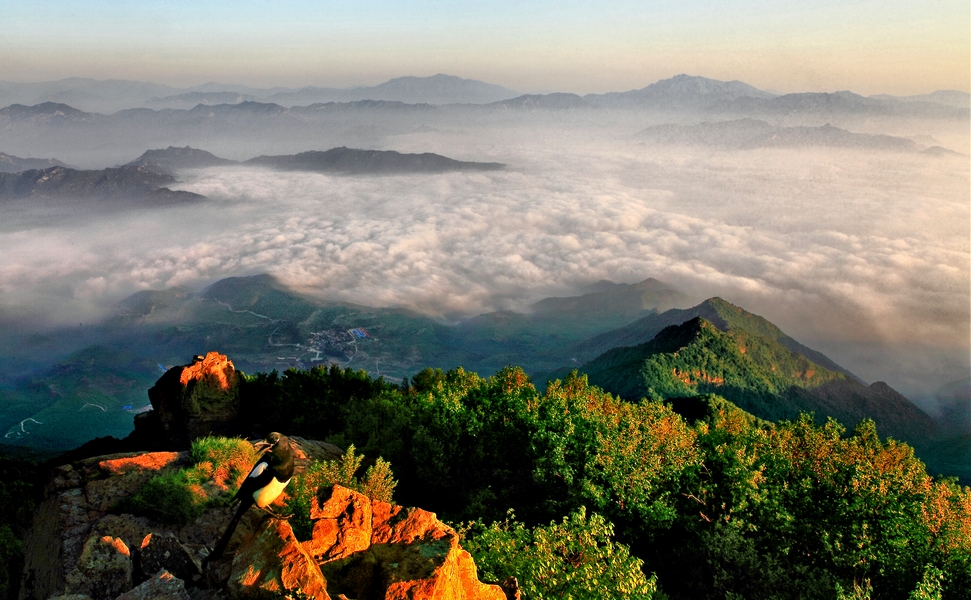 京西百花山好玩吗_北京中国国旅