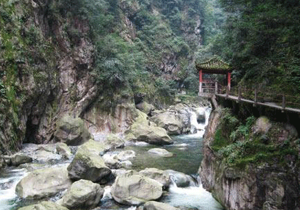 蜂桶寨自然保护区