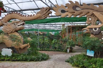 【溱湖湿地农业生态园】泰州溱湖湿地农业生态