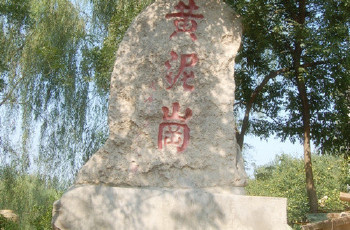 7-1409230955260-L.jpg