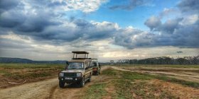 标准肯尼亚10天观看野生动物之旅