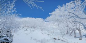 浪漫情怀北海道-函馆猴子泡汤温泉