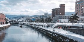 寻梦鹤雅:北海道深度全景赏花7日