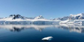 【前进号】大南极洲三岛深度全景