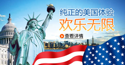 <美国电子政务考察培训计划>